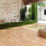 Wow Roots image